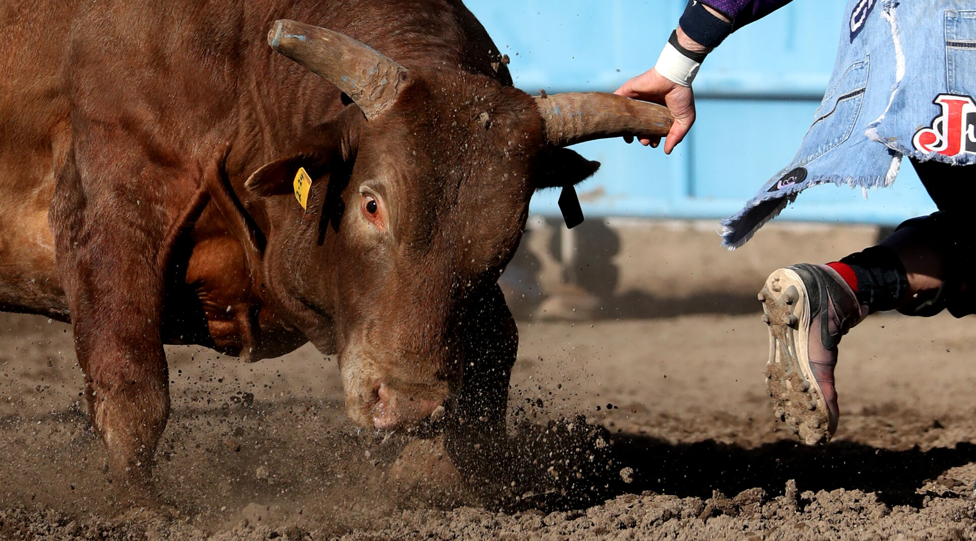 Fiesta de los Vaqueros Tucson Rodeo